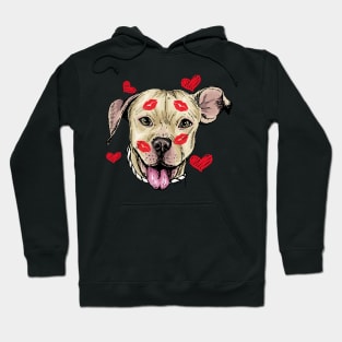 Cute Pitbull Dog Hearts Funny Valentine's Day Design Hoodie